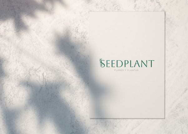 logotipo personalizado seedplant en pared diseño