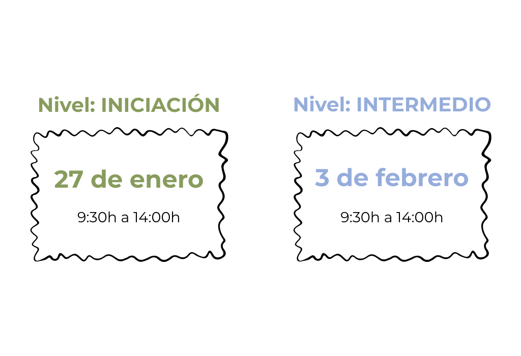 curso canva presencial valencia diseño marca negocio