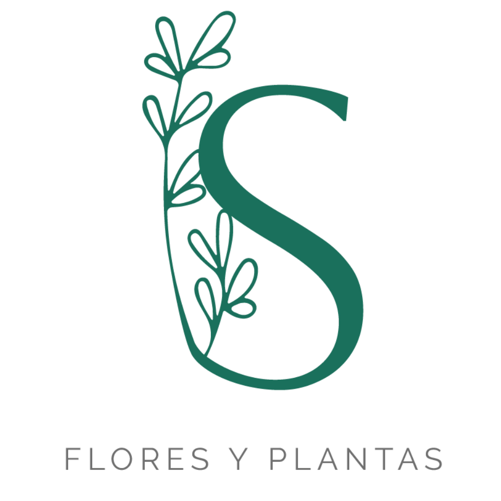logo seedplant
