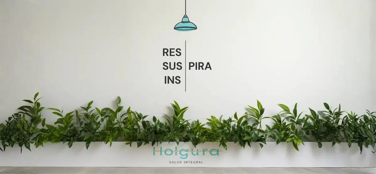 recepción vinilo diseño policlínica